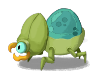 Bowlbug Egg