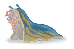 Corpse Slug