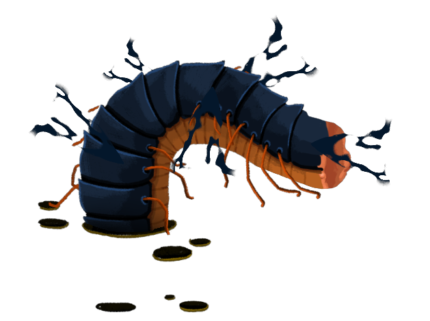Decimillipede Front