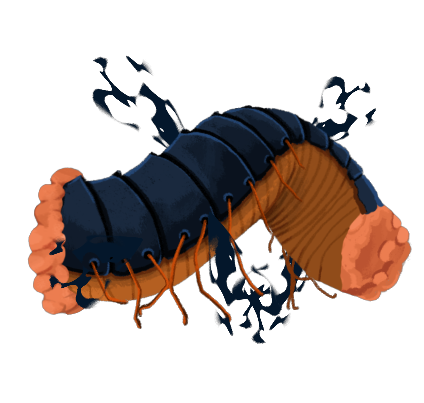 Decimillipede Middle