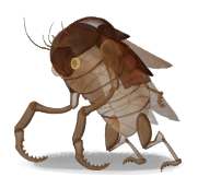 Exoskeleton