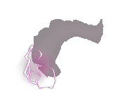 Gas Bomb