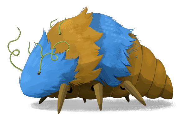Louse Progenitor