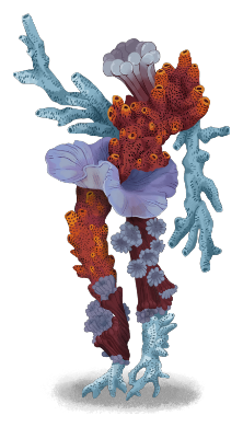 Skulking Colony