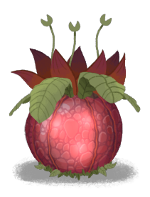 Snapping Jaxfruit