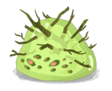 Twig Slime M