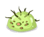 Twig Slime S