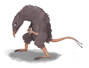 Two Tailed Rat