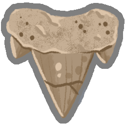 Archaic Tooth