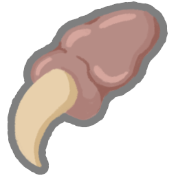 Pael's Claw