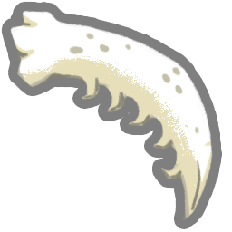 Razor Tooth